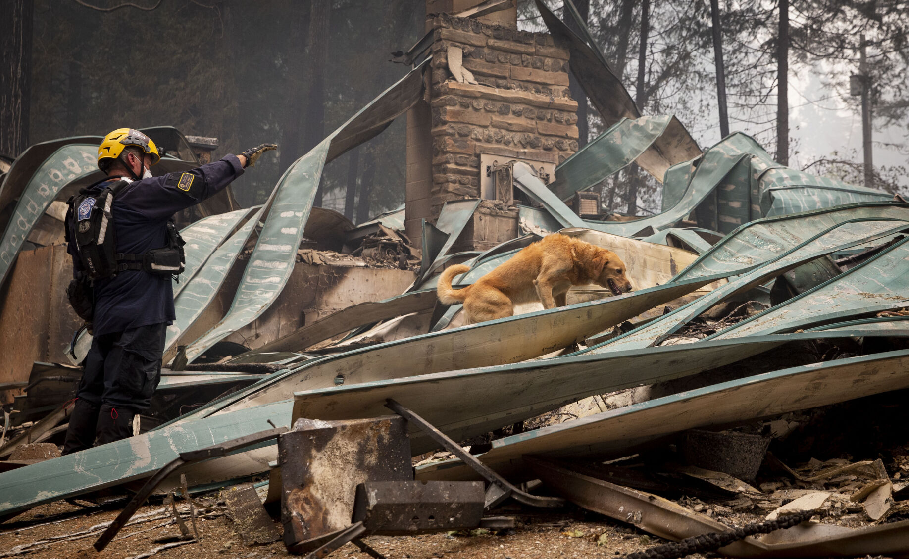 Pacific Northwest Wildfires